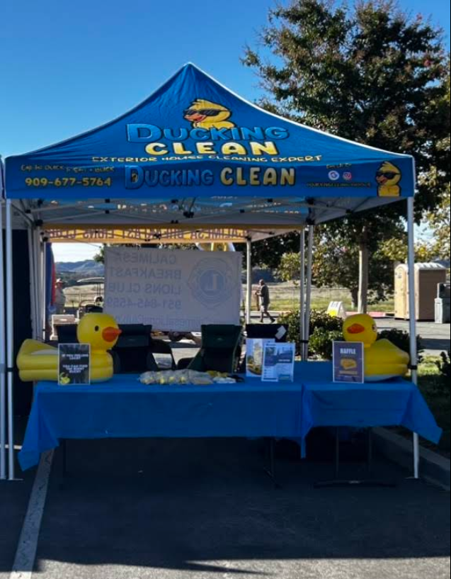 Ducking clean window screen cleaning service