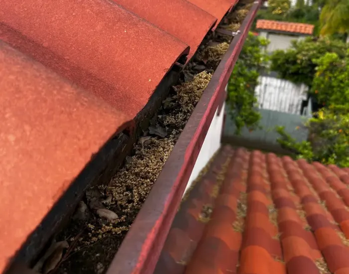 Gutter cleaning