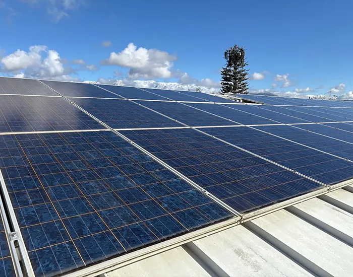 Solar panel cleaning service
